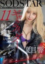 START 314 - Hibiki Natsume Tur Orgasme Bersama Janda Pirang Biker Setelah Cerai (2025)